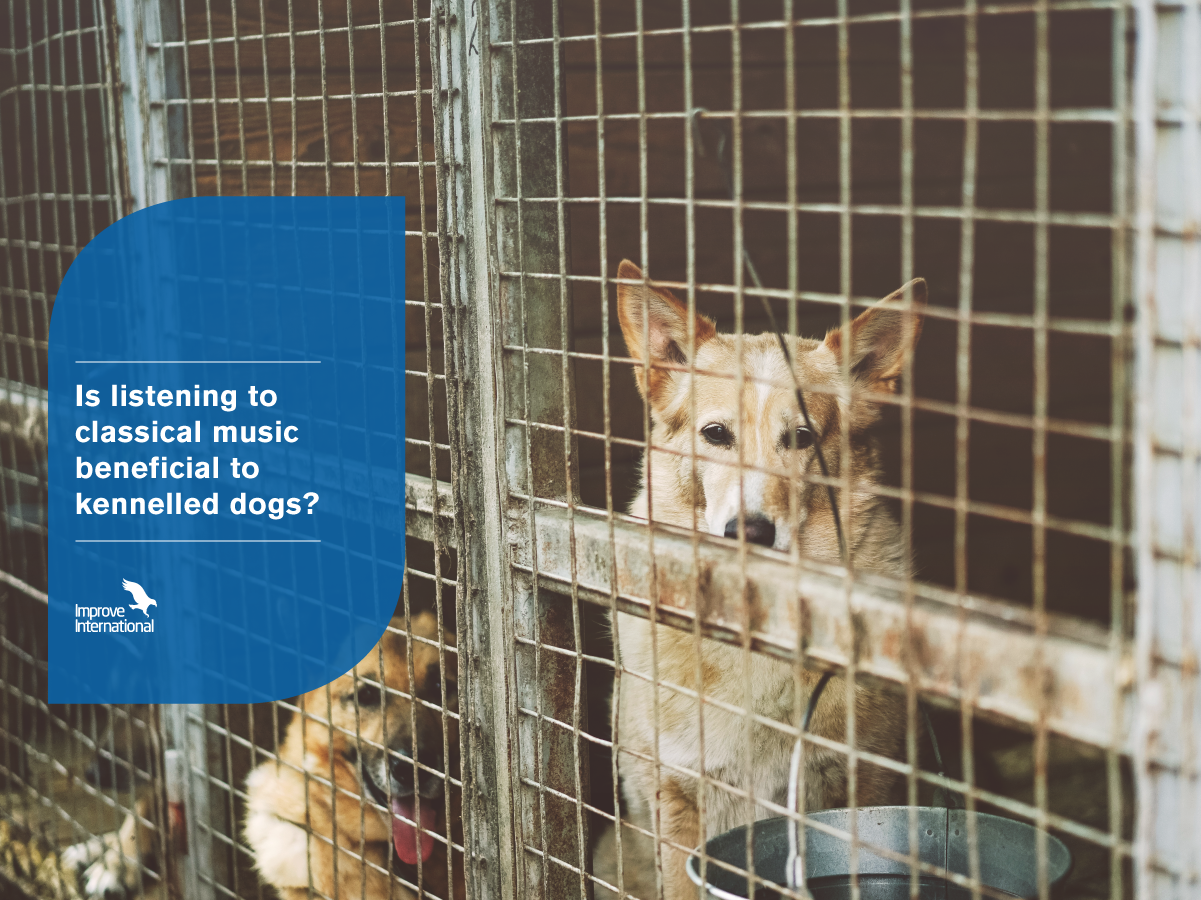 dogs and classical music