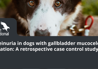 Proteinuria in dogs with gallbladder mucocele formation: A retrospective case control study